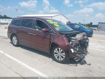  Salvage Honda Odyssey