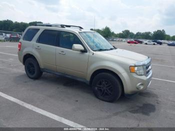  Salvage Ford Escape