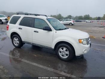  Salvage Ford Escape