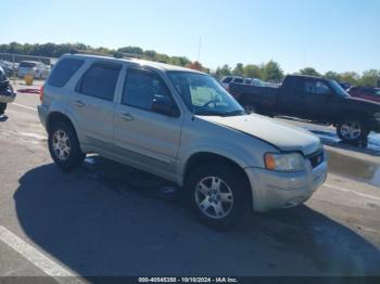  Salvage Ford Escape