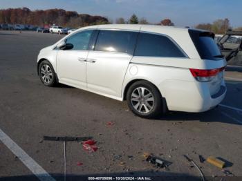  Salvage Honda Odyssey