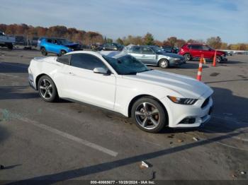  Salvage Ford Mustang