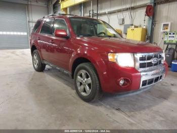  Salvage Ford Escape