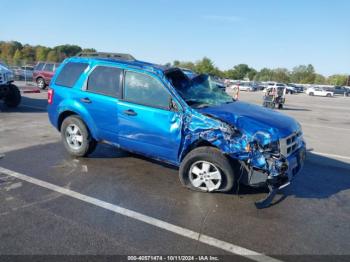  Salvage Ford Escape