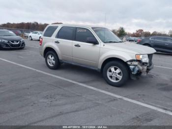  Salvage Ford Escape