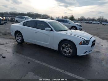  Salvage Dodge Charger