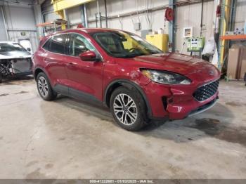  Salvage Ford Escape