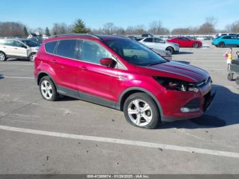  Salvage Ford Escape