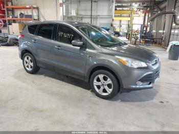  Salvage Ford Escape