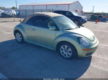  Salvage Volkswagen Beetle