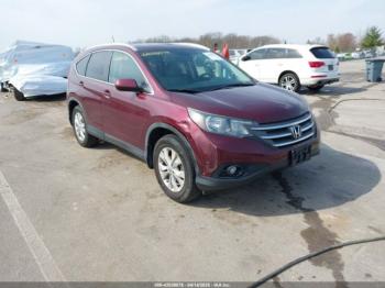  Salvage Honda CR-V