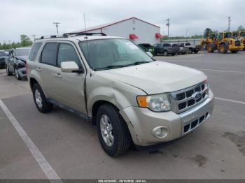  Salvage Ford Escape