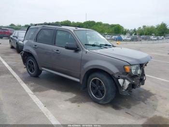 Salvage Ford Escape