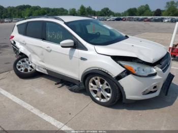  Salvage Ford Escape