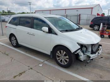  Salvage Honda Odyssey
