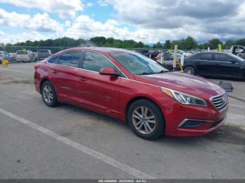  Salvage Hyundai SONATA