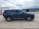 Hyundai PALISADE Sel Image 10