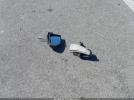 Hyundai ELANTRA Image 14