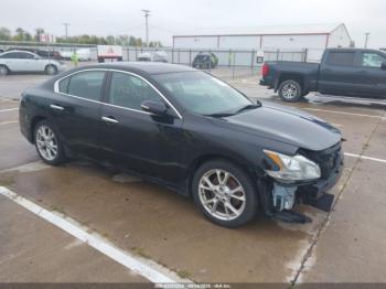  Salvage Nissan Maxima