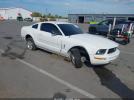 Ford Mustang Image 1