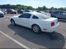 Ford Mustang Image 9