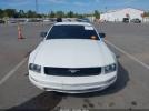 Ford Mustang Image 6
