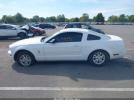 Ford Mustang Image 12