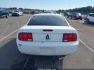 Ford Mustang Image 15