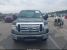 Ford F-150 Xlt Image 5