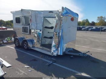  Salvage Sundowner Sportman