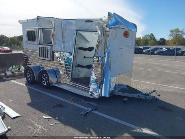  Salvage Sundowner Sportman