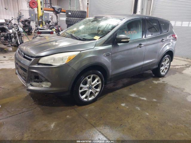 Ford Escape Sel Image 10