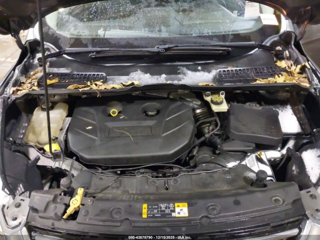 Ford Escape Sel Image 7