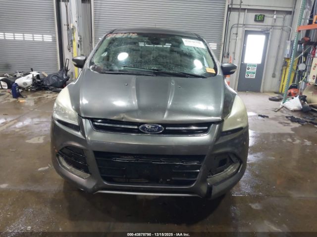 Ford Escape Sel Image 13