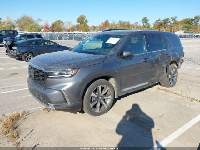 Honda Pilot Elite Image 6