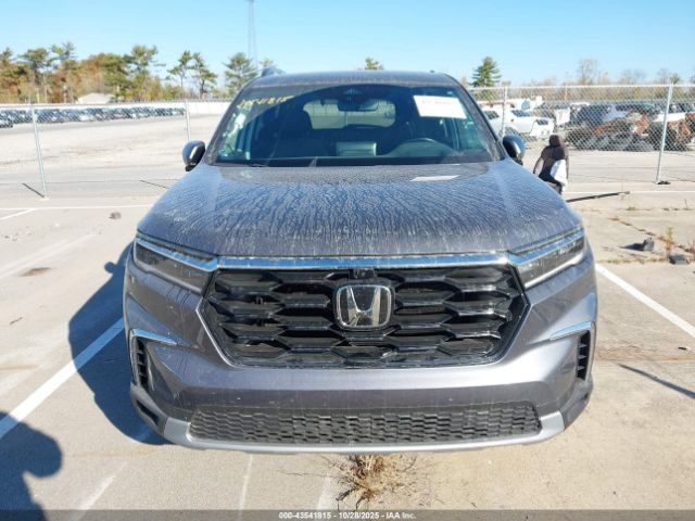 Honda Pilot Elite Image 12