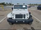 Jeep Wrangler Backcountry Image 9