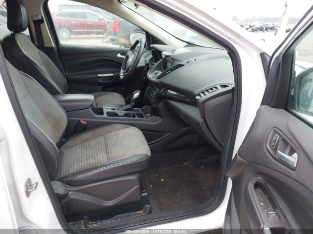 Ford Escape Se Image 7