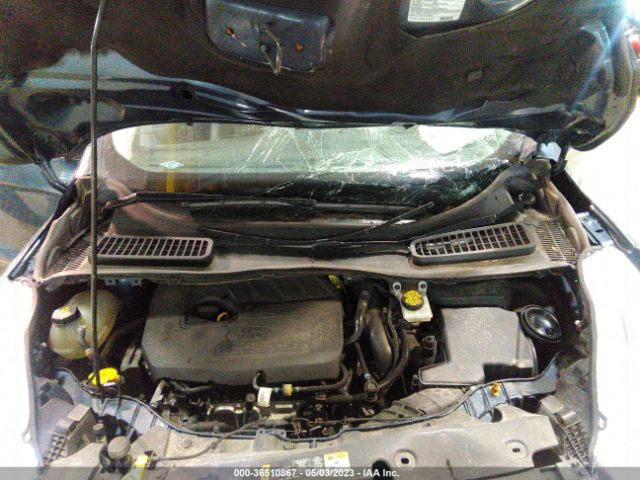 Ford Escape Sel Image 5