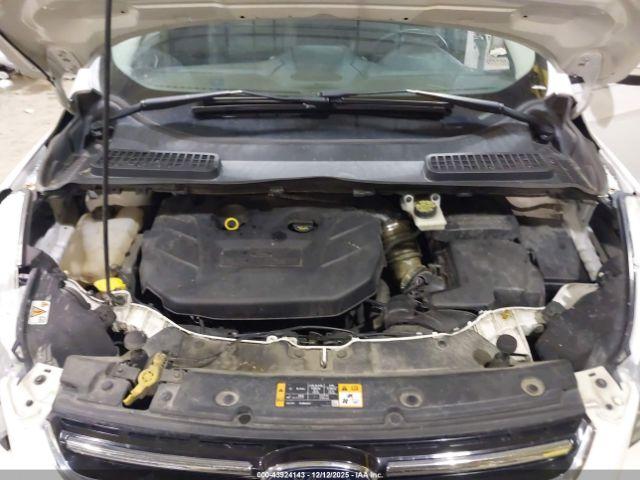 Ford Escape Titanium Image 5