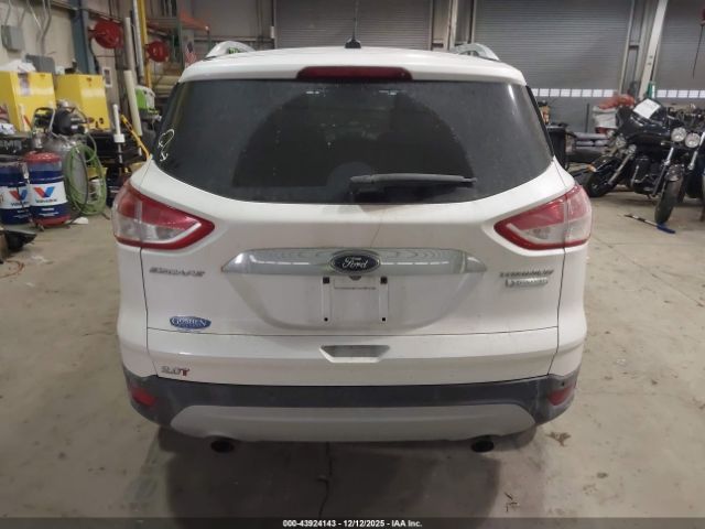 Ford Escape Titanium Image 6
