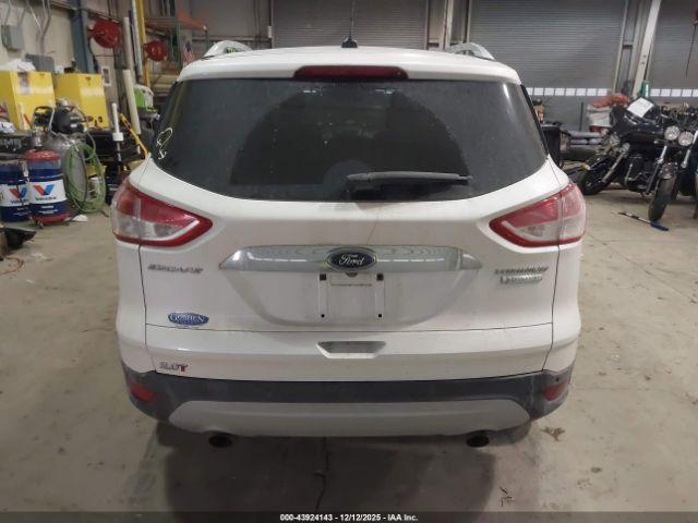 Ford Escape Titanium Image 6