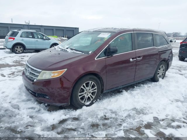Honda Odyssey Ex Image 3
