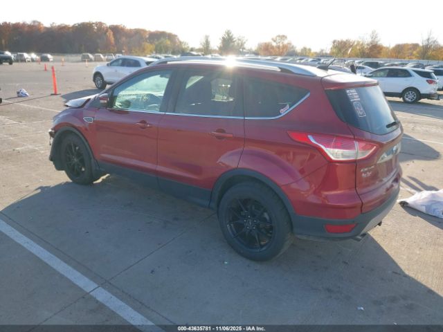 Ford Escape Titanium Image 3